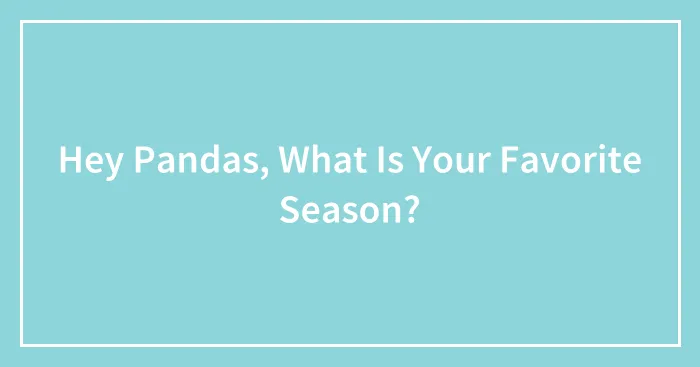 Hey Pandas, What Is Your Favorite Season? (Closed)