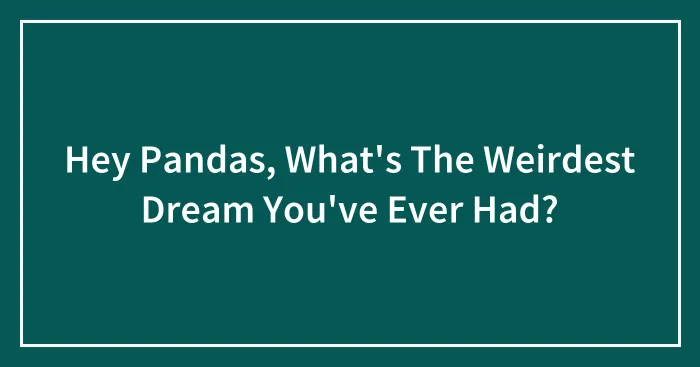 Hey Pandas, What's The Weirdest Dream You've Ever Had?