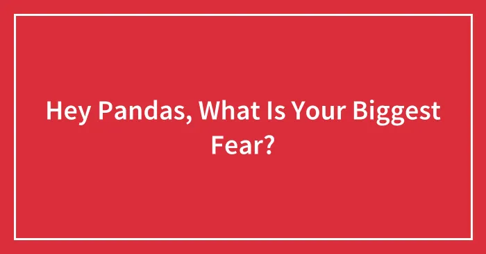 Hey Pandas, What Is Your Biggest Fear?