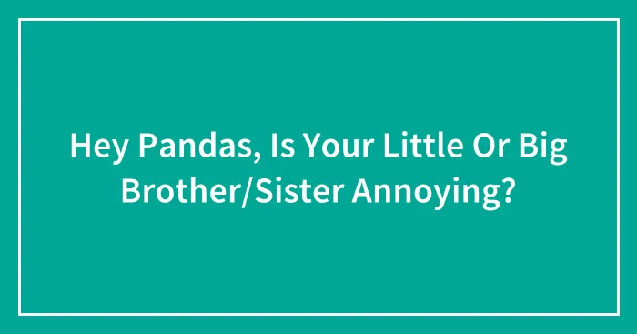 Hey Pandas, Is Your Little Or Big Brother/Sister Annoying?