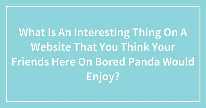 What Is An Interesting Thing On A Website That You Think Your Friends Here On Bored Panda Would Enjoy?