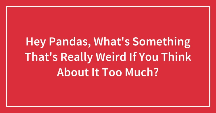 Hey Pandas, What's Something That's Really Weird If You Think About It Too Much?