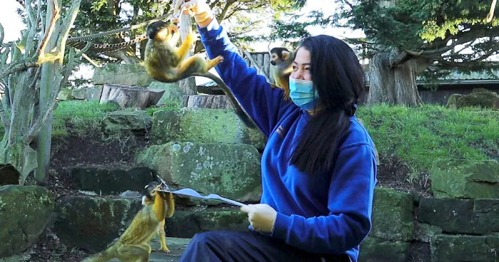 Drusillas Zoo Counts Every Paw, Claw, Feather, And Fang For Annual Stock Take