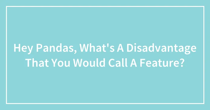 Hey Pandas, What's A Disadvantage That You Would Call A Feature?