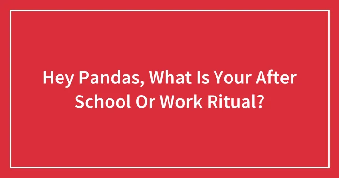 Hey Pandas, What Is Your After School Or Work Ritual?