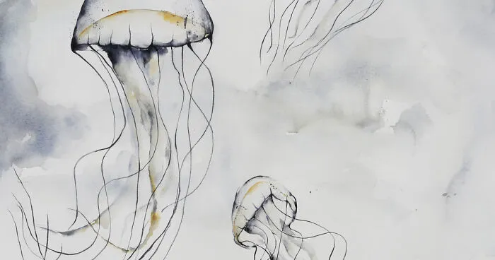 My 7 Surreal Illustrations For Sea Lovers