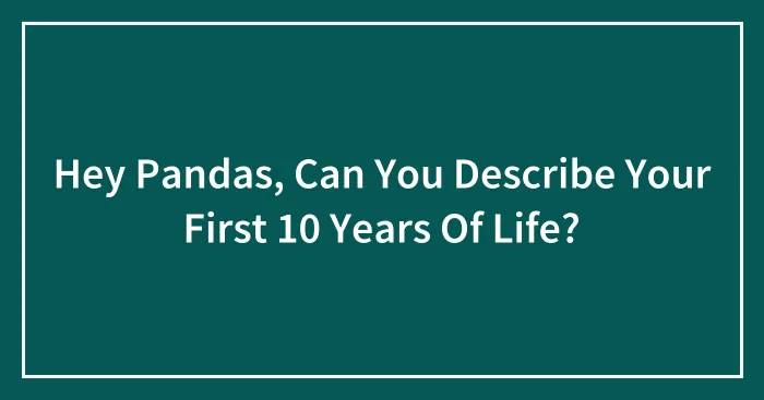 Hey Pandas, Can You Describe Your First 10 Years Of Life?