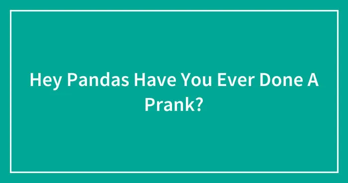 Hey Pandas Have You Ever Done A Prank?