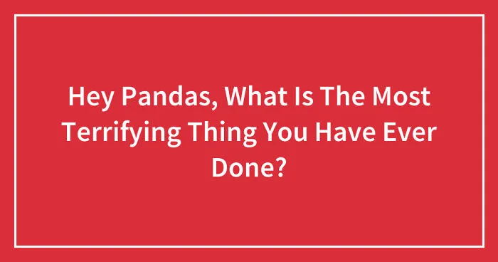 Hey Pandas, What Is The Most Terrifying Thing You Have Ever Done? (Closed)