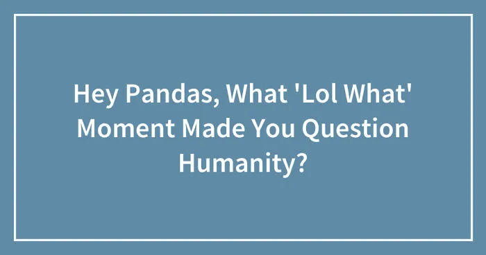 Hey Pandas, What 'Lol What' Moment Made You Question Humanity? (Closed)