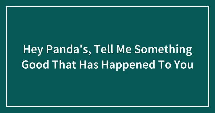 Hey Panda's, Tell Me Something Good That Has Happened To You