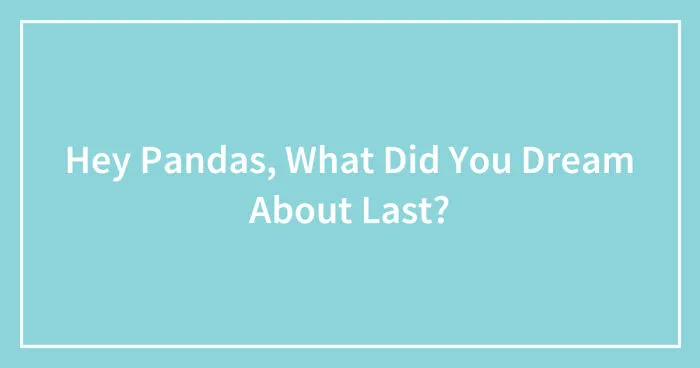 Hey Pandas, What Did You Dream About Last? (Closed)