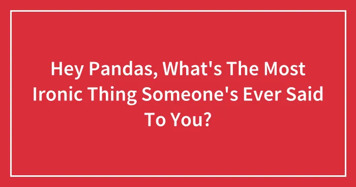 Hey Pandas, What's The Most Ironic Thing Someone's Ever Said To You? (Closed)