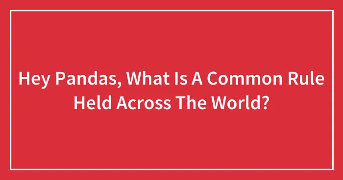 Hey Pandas, What Is A Common Rule Held Across The World? (Closed)