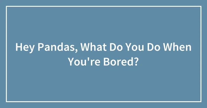Hey Pandas, What Do You Do When You're Bored?