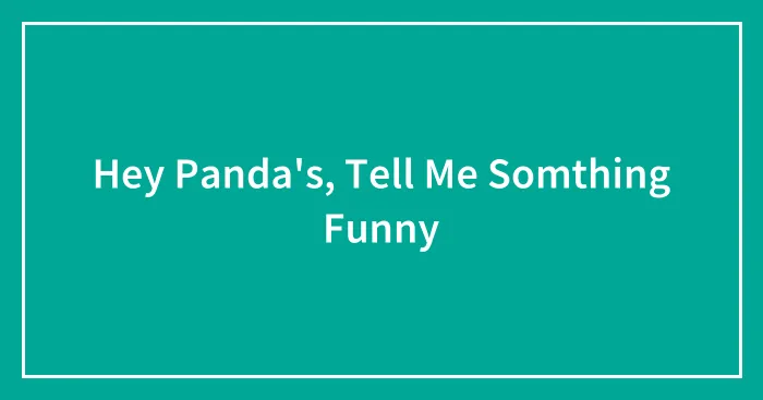 Hey Panda's, Tell Me Somthing Funny