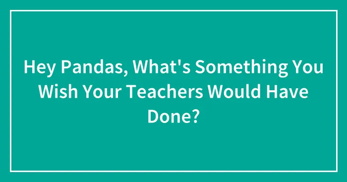 Hey Pandas, What's Something You Wish Your Teachers Would Have Done?