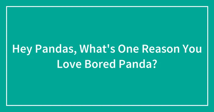 Hey Pandas, What's One Reason You Love Bored Panda? (Closed)