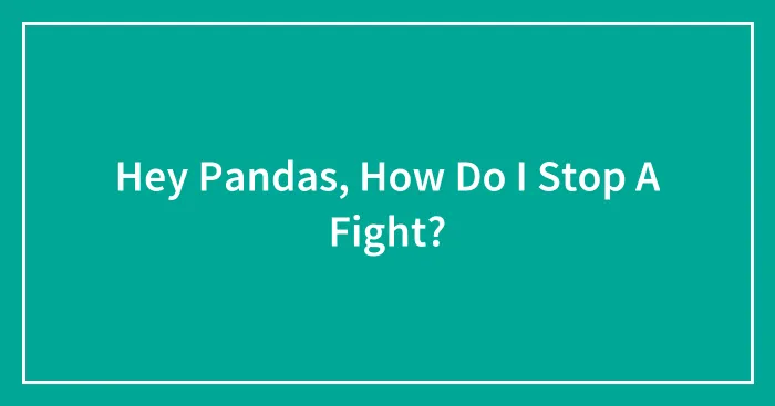 Hey Pandas, How Do I Stop A Fight? (Closed)