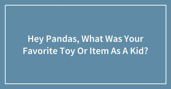Hey Pandas, What Was Your Favorite Toy Or Item As A Kid? (Closed)