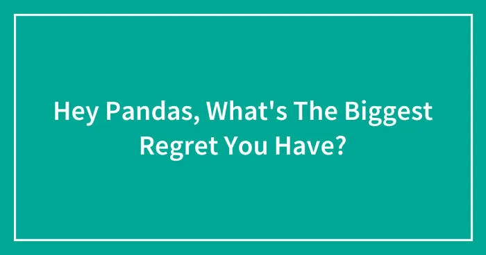 Hey Pandas, What's The Biggest Regret You Have? (Closed)