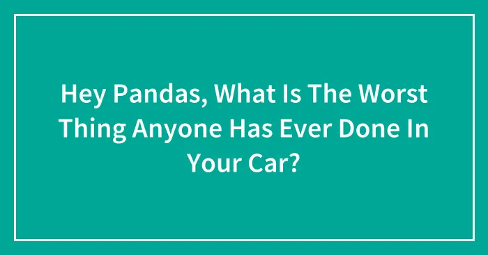 Hey Pandas, What Is The Worst Thing Anyone Has Ever Done In Your Car?