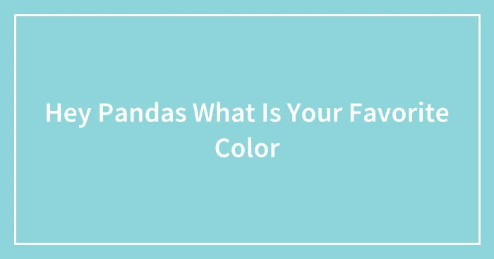Hey Pandas What Is Your Favorite Color