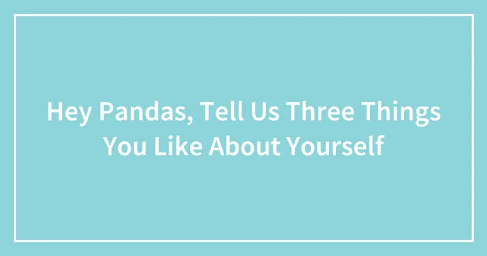 Hey Pandas, Tell Us Three Things You Like About Yourself (Closed)