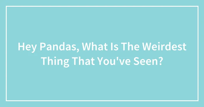Hey Pandas, What Is The Weirdest Thing That You've Seen? (Closed)