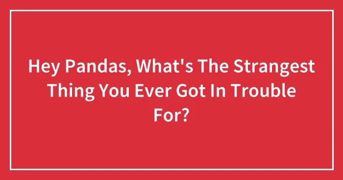 Hey Pandas, What's The Strangest Thing You Ever Got In Trouble For? (Closed)