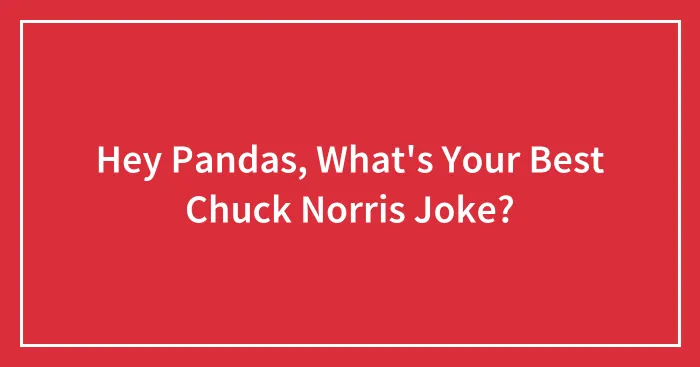 Hey Pandas, What's Your Best Chuck Norris Joke? (Closed)