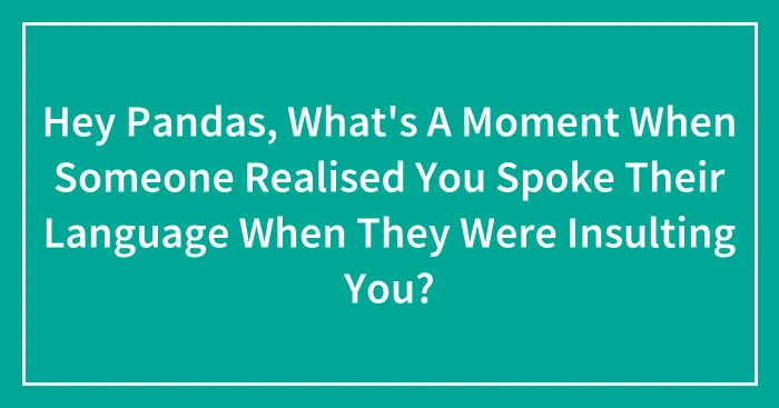 Hey Pandas, What's A Moment When Someone Realised You Spoke Their Language When They Were Insulting You?