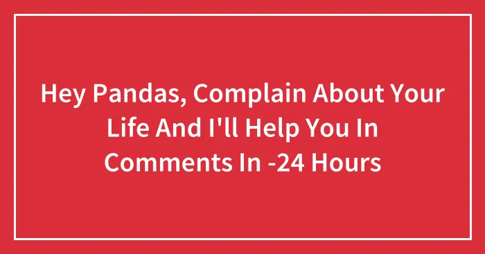 Hey Pandas, Complain About Your Life And I'll Help You In Comments In -24 Hours
