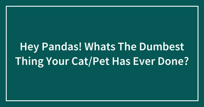 Hey Pandas! Whats The Dumbest Thing Your Cat/Pet Has Ever Done?