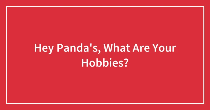 Hey Panda's, What Are Your Hobbies?