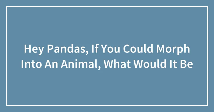 Hey Pandas, If You Could Morph Into An Animal, What Would It Be