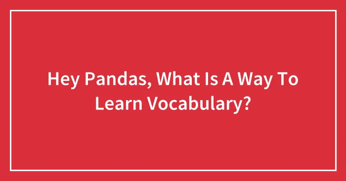 Hey Pandas, What Is A Way To Learn Vocabulary?