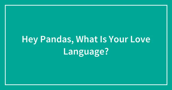 Hey Pandas, What Is Your Love Language? (Closed)