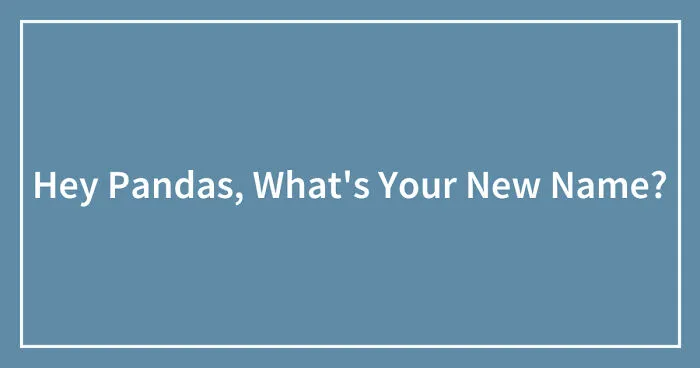 Hey Pandas, What's Your New Name? (Closed)