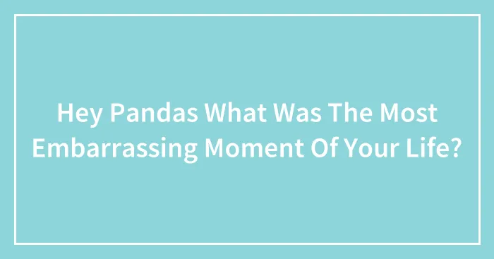 Hey Pandas What Was The Most Embarrassing Moment Of Your Life?