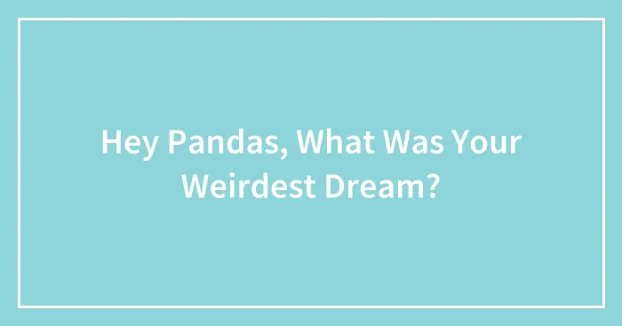 Hey Pandas, What Was Your Weirdest Dream?