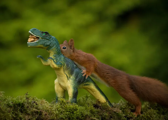 19 Pictures Of Squirrels Interacting With Dinosaurs Taken By Me