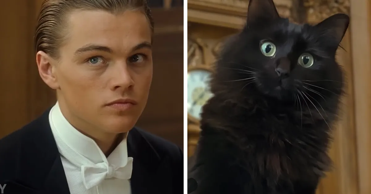 En esta versión mejorada de Titanic hay un gato, y el resultado es divertidísimo