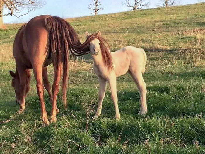 Pretending To Be His Mother