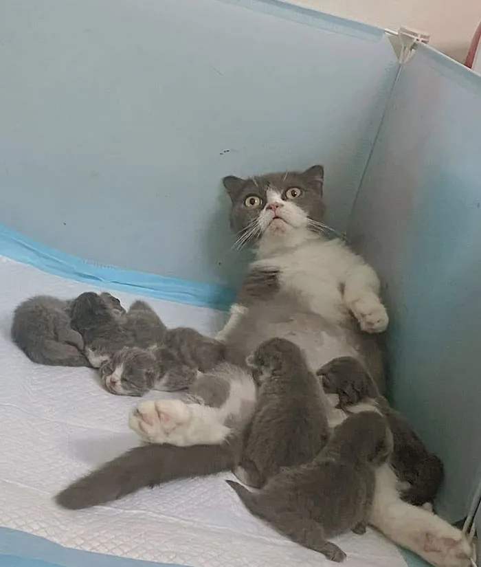 ¡Ayúdenme!
