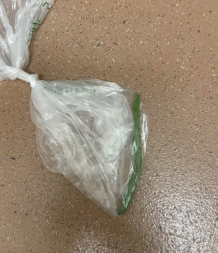 I Ordered 1 Lbs Of Green Beans Online And Got 1 Very Lonely Green Bean