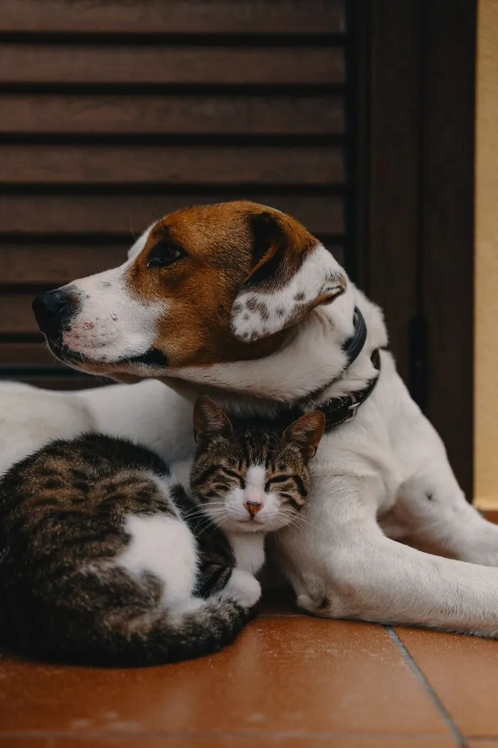 40 Lawyers Share The Most Surprising Requests They’ve Ever Seen In Someone’s Will