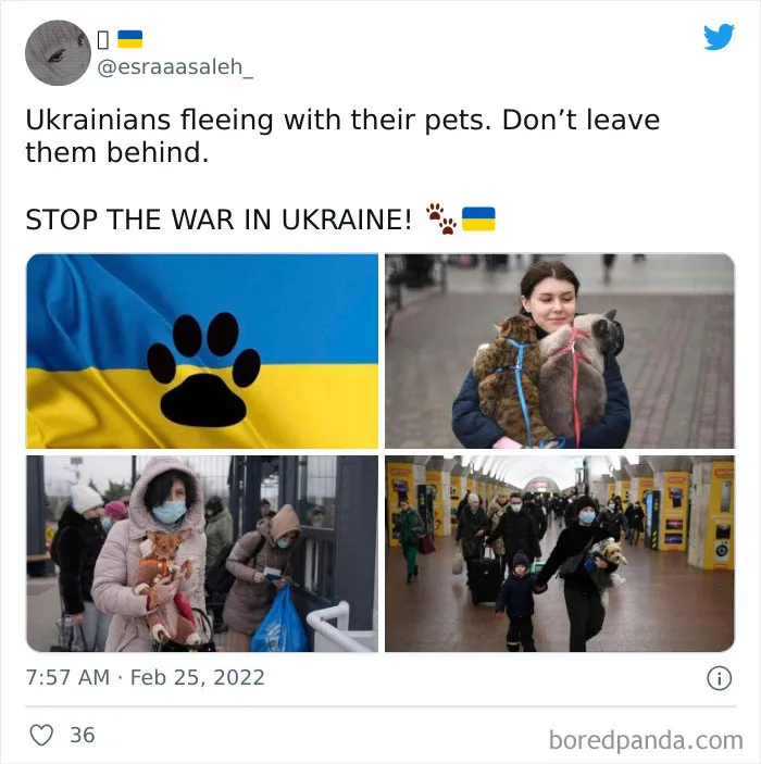 50 Of The Most Important Posts About Russia Invading Ukraine Right Now