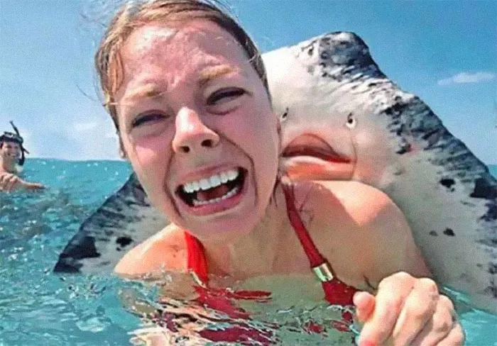 40 Weird And Funny Pics From This Facebook Page Prove That Humans Are Unlike Any Other Species