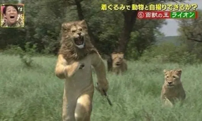 40 Weird And Funny Pics From This Facebook Page Prove That Humans Are Unlike Any Other Species